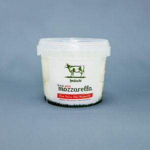 Fresh Mozzarella Balls 9x125 gm