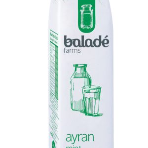 Fresh Laban Ayran Mint - 225ml x 24